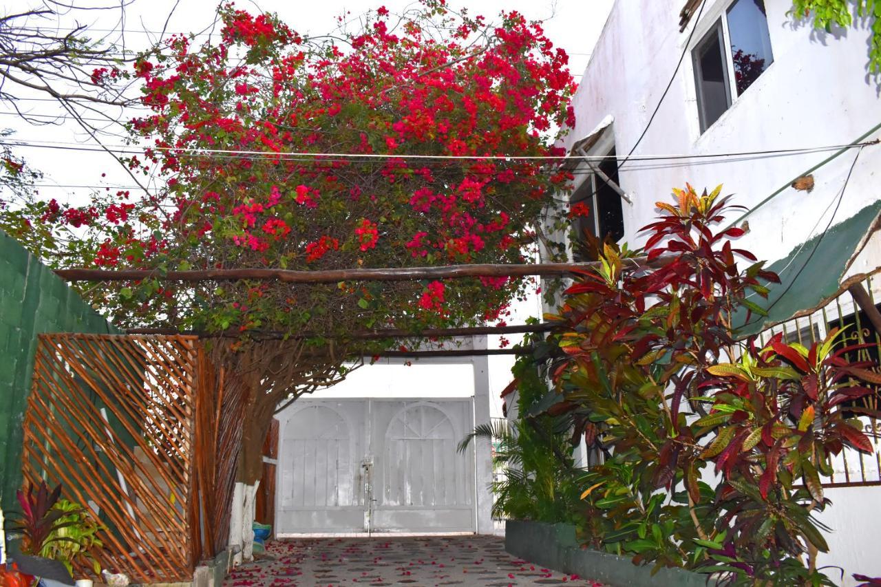 Lobo Inn Tulum Kültér fotó