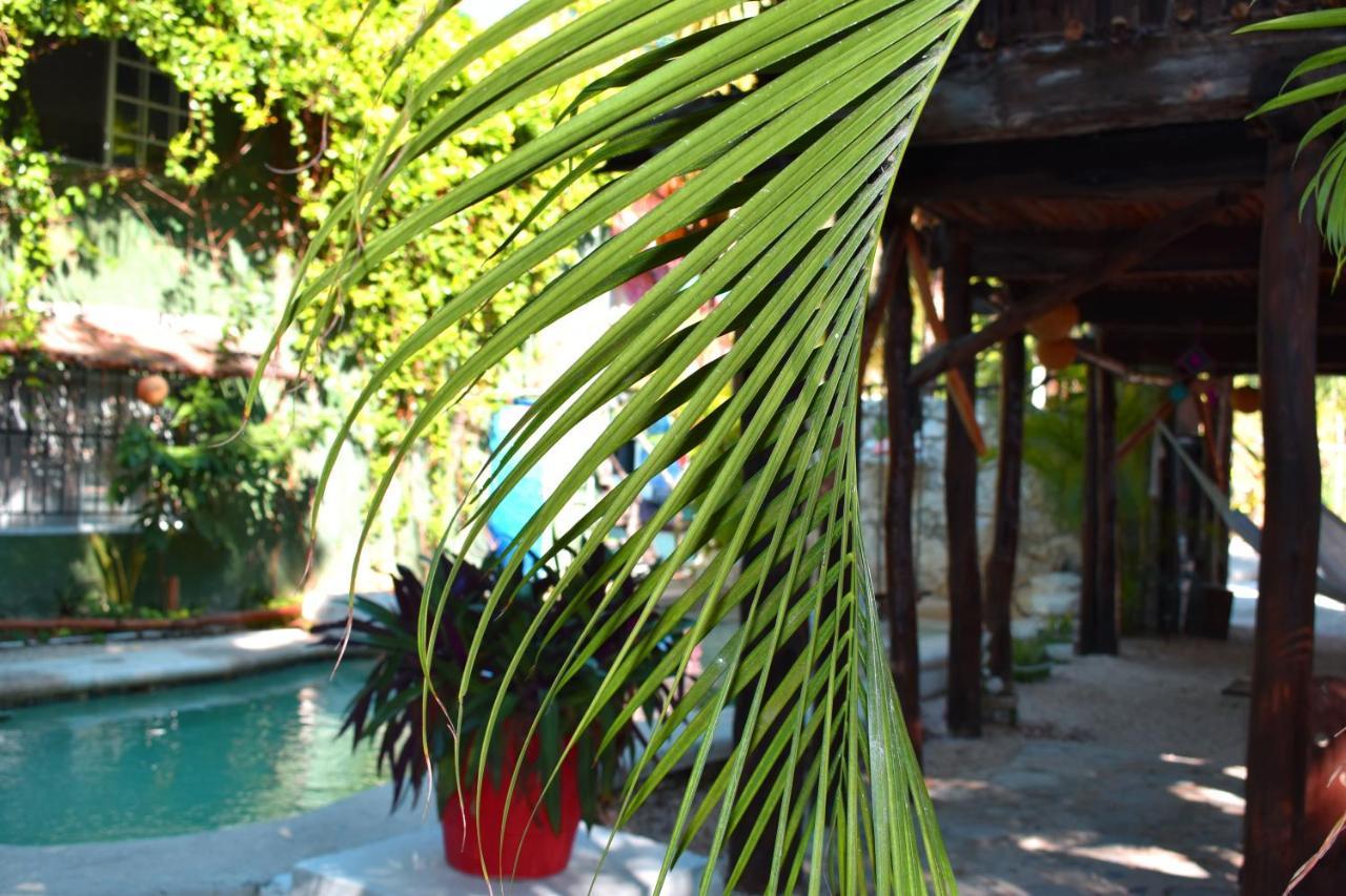 Lobo Inn Tulum Kültér fotó