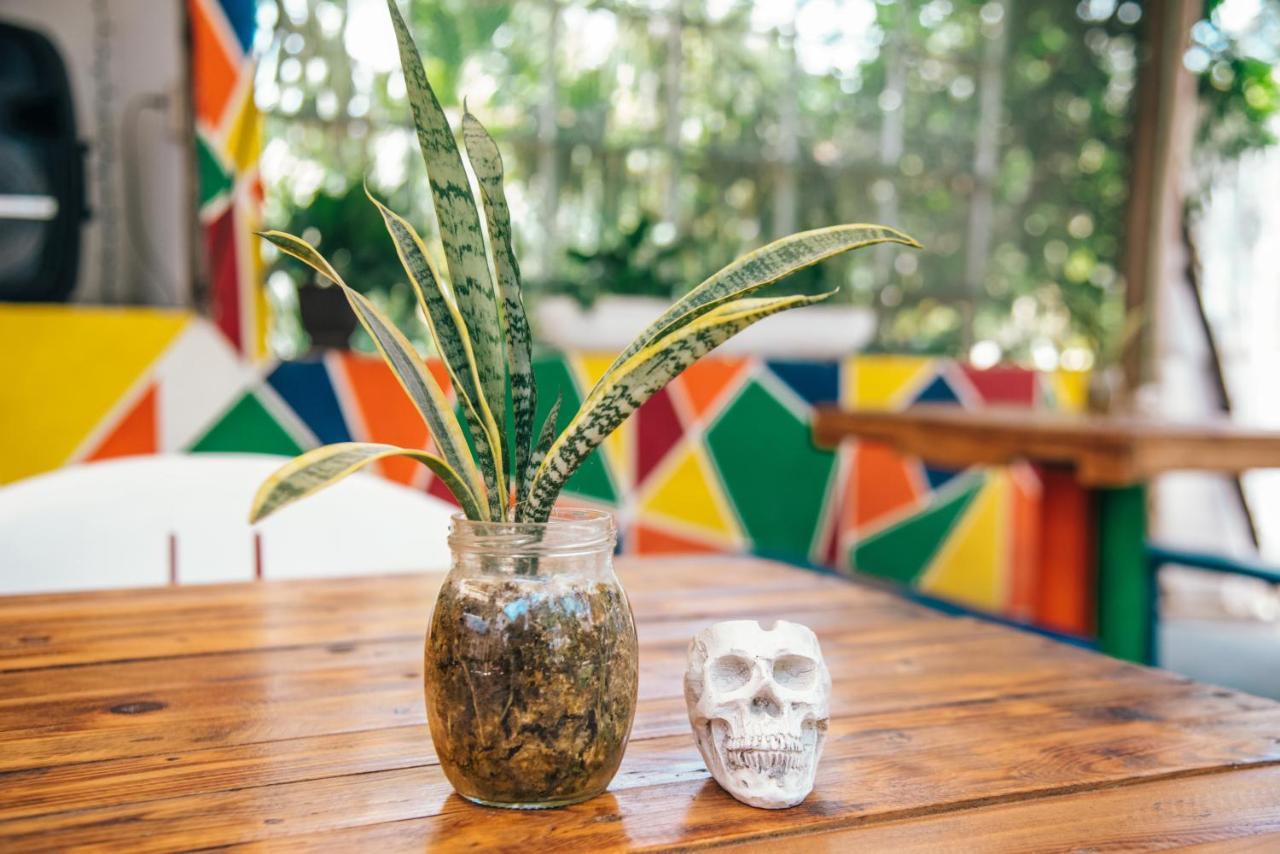 Lobo Inn Tulum Kültér fotó