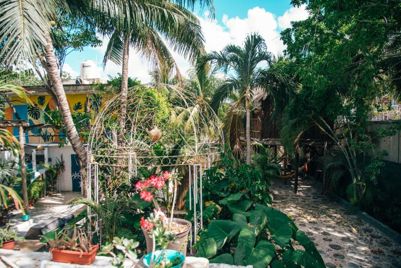 Lobo Inn Tulum Kültér fotó